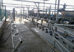 A Pocket Guide to Modern Milking Technique - Image 2