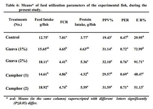 Possibility of Using Dried Leaves of Guava and Camphor Trees in Tilapia Diets - Image 6