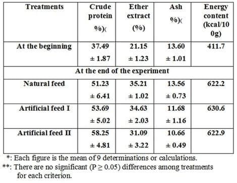 Effect of Feed Regimen on Growth Performance, Feed Utilization, Body Composition and Economic Efficiency by Argyrosomus Regius (Asso, 1801) - Image 9