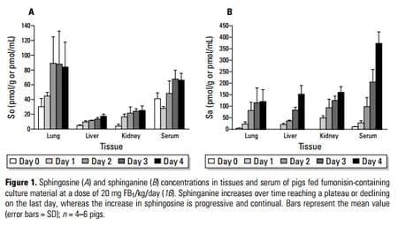 Fumonisin Toxicosis in Swine: An Overview of Porcine Pulmonary Edema and Current Perspectives - Image 1