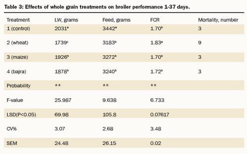 Whole Grain Feeding of Broilers - Image 3