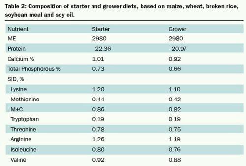 Whole Grain Feeding of Broilers - Image 2