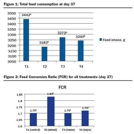 Whole Grain Feeding of Broilers - Image 5