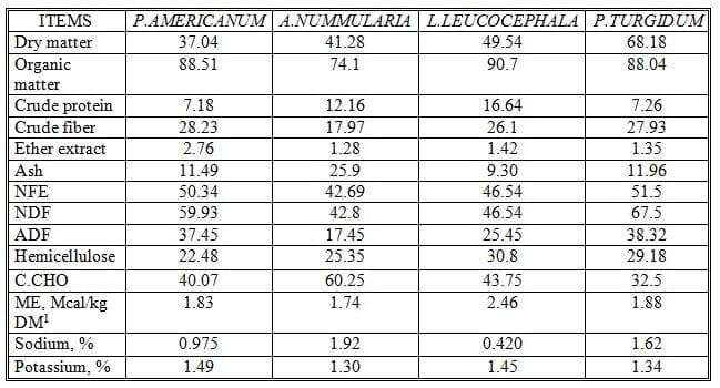 Some Nutritional Studies of Four Salt-Tolerant Fodder Crops Fed to Goats under Saline Conditions in Egypt - Image 1