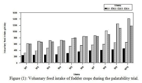 Some Nutritional Studies of Four Salt-Tolerant Fodder Crops Fed to Goats under Saline Conditions in Egypt - Image 5
