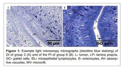 Evaluation of Prebiotic and Probiotic Effects on the Intestinal Gut Microbiota and Histology of Atlantic salmon (Salmo salar L.) - Image 4