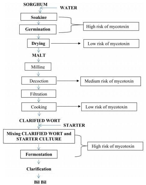 Sustainability and Effectiveness of Artisanal Approach to Control Mycotoxins Associated with Sorghum Grains and Sorghum Based Food in Sahelian Zone of Cameroon - Image 6