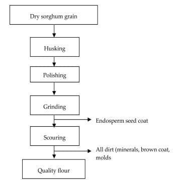 Sustainability and Effectiveness of Artisanal Approach to Control Mycotoxins Associated with Sorghum Grains and Sorghum Based Food in Sahelian Zone of Cameroon - Image 4