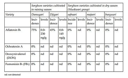 Sustainability and Effectiveness of Artisanal Approach to Control Mycotoxins Associated with Sorghum Grains and Sorghum Based Food in Sahelian Zone of Cameroon - Image 1