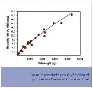 Bioenergetics - Application in Aquaculture Nutrition - Image 3