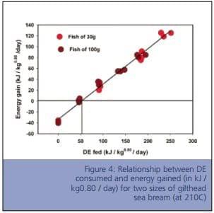 Bioenergetics - Application in Aquaculture Nutrition - Image 6