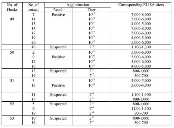Development of Slide Micro-agglutination System for the Rapid Diagnosis of Salmonella Infection in the Chicken - Image 9