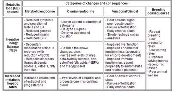 Reproductive Performance in High-producing Dairy Cows: Can We Sustain it Under Current Practice?- Part II - Image 6