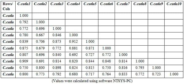 To evaluate genetic variation within and among the two different stocks of Catla catla in Orissa based on RAPD profiles - Image 17