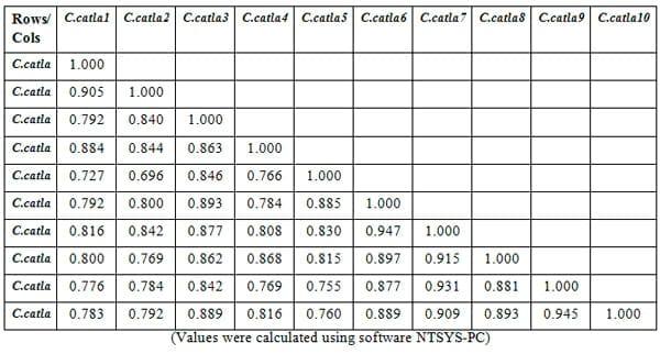 To evaluate genetic variation within and among the two different stocks of Catla catla in Orissa based on RAPD profiles - Image 18