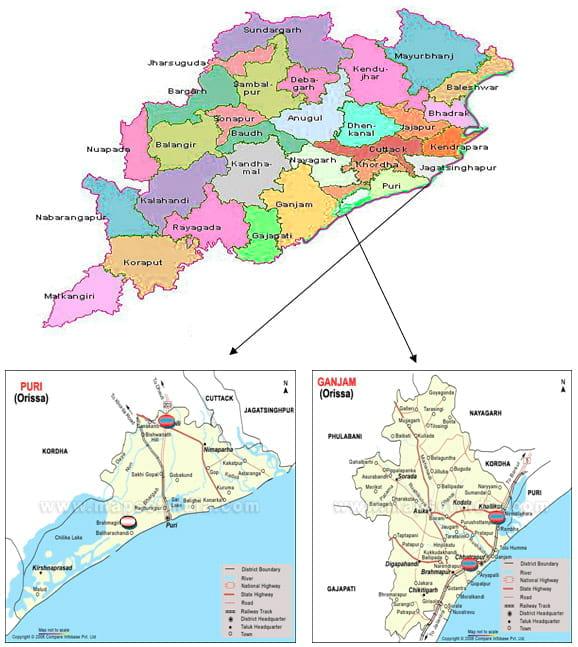 To evaluate genetic variation within and among the two different stocks of Catla catla in Orissa based on RAPD profiles - Image 1