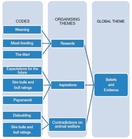 Farmers’ self-reported perceptions and behavioural impacts of a welfare scheme for suckler beef cattle in Ireland - Image 3