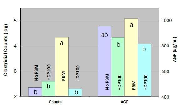 Protein Flow to the Hindgut as a Trigger to Clostridium-Related Dysbacteriosis in Broilers - Image 7