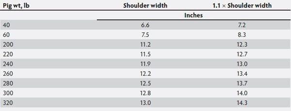 Impact of heavy market weights on facility and equipment needs - Image 3