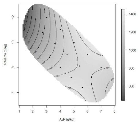 Calcium and Phosphorus Interactions in Broiler Nutrition: A Geometric Framework approach - Image 2