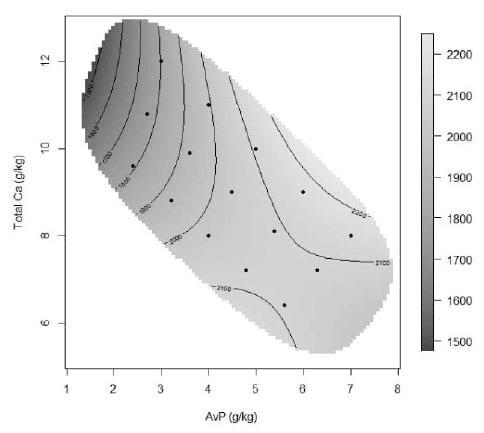 Calcium and Phosphorus Interactions in Broiler Nutrition: A Geometric Framework approach - Image 1