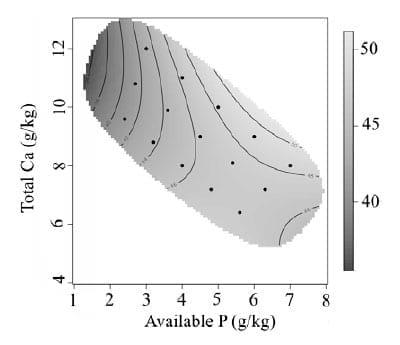 Using the Geometric Framework to Explore Calcium and Phosphorus Interactions and the Effect on Broiler Welfare - Image 4