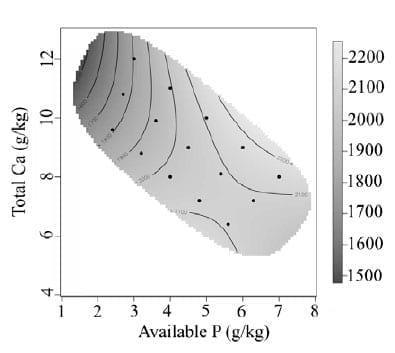 Using the Geometric Framework to Explore Calcium and Phosphorus Interactions and the Effect on Broiler Welfare - Image 1