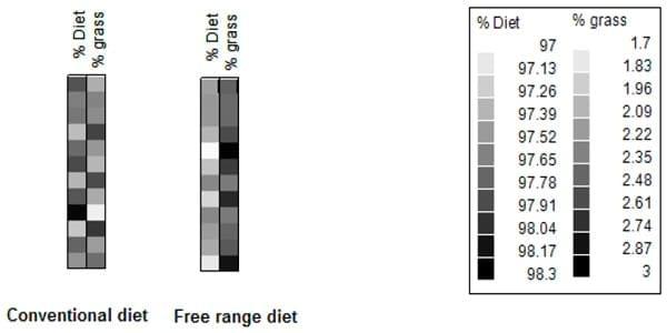 Are we turning chickens into cows: How much grass do free range broiler eat? - Image 2