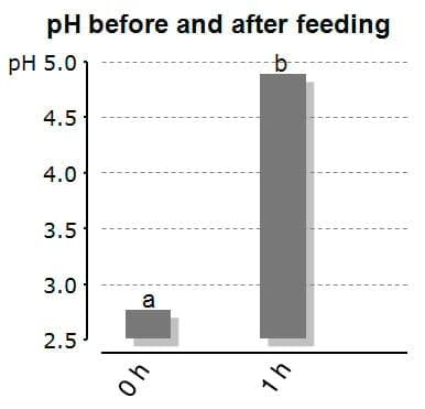 Acidification in monogastric fish - Image 1