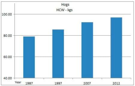 Points to Ponder When Raising Heavier Weight Pigs - Image 1