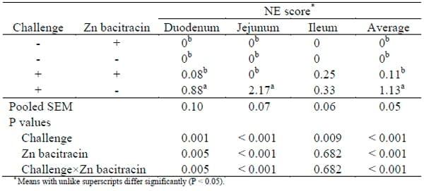 A New Low Mortality Necrotic Enteritis Challenge Model - Image 1