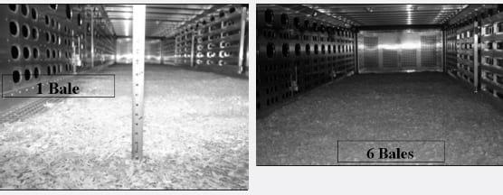 Market Pig Transport - Image 5