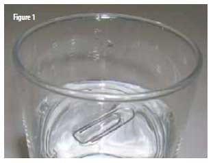 Sublimation of poultry litter and reduction of health problems - Image 1