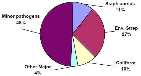 Managing the Dry Period for Milk Quality - Image 1