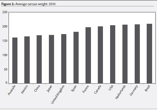 Growth and development implications of marketing pigs at heavier weights - Image 2