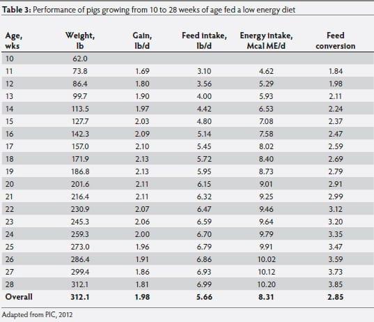 Growth and development implications of marketing pigs at heavier weights - Image 5