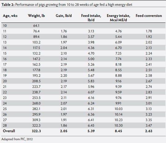 Growth and development implications of marketing pigs at heavier weights - Image 4