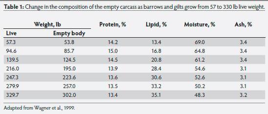 Growth and development implications of marketing pigs at heavier weights - Image 3