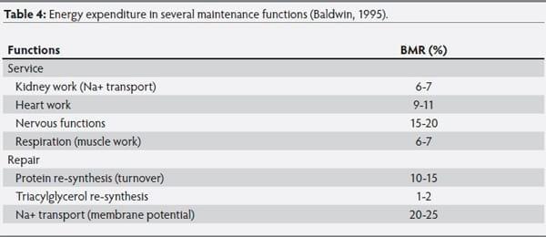 The metabolic basis of feed-energy efficiency in swine - Image 4