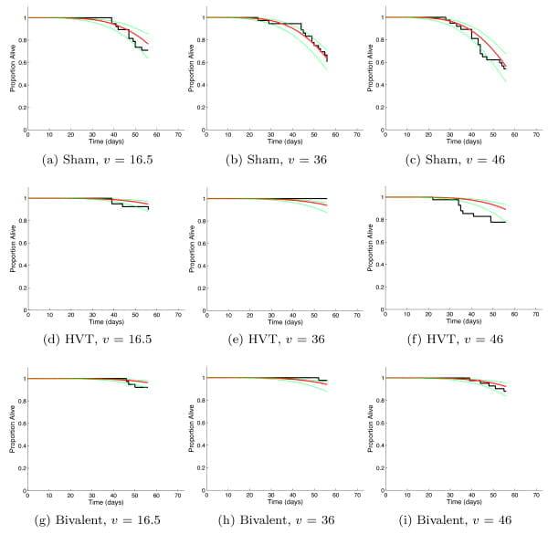 Modelling Marek's Disease Virus (MDV) infection: parameter estimates for mortality rate and infectiousness - Image 3