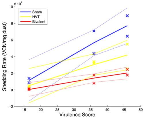 Modelling Marek's Disease Virus (MDV) infection: parameter estimates for mortality rate and infectiousness - Image 18
