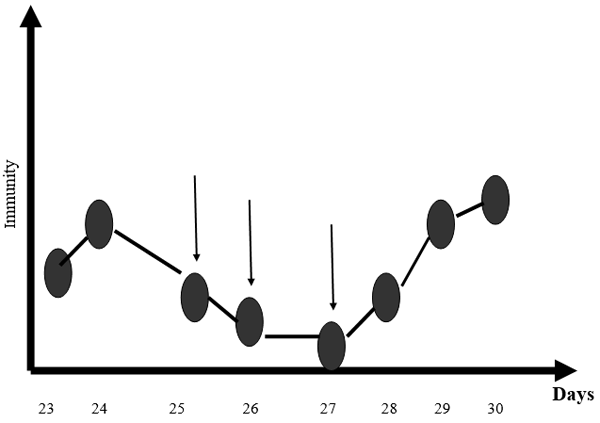 Newcastle Disease Viruses - Image 17