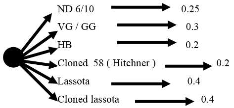 Newcastle Disease Viruses - Image 18