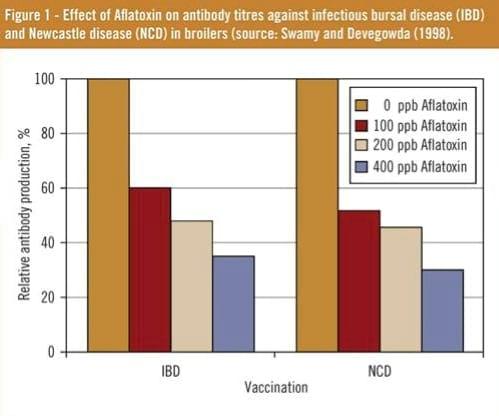 Safe feeds save the bottom line in unsafe times - Image 4