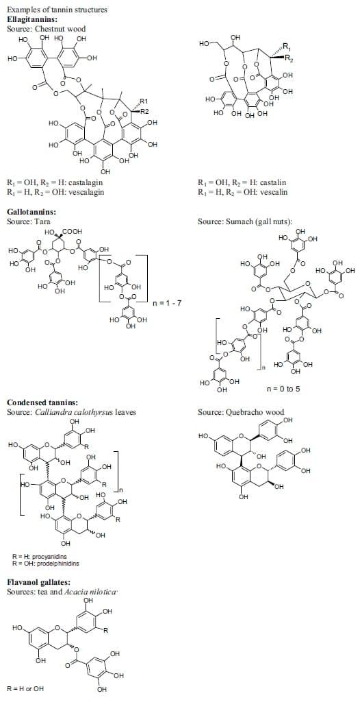 Inhibition of Salmonella Typhimurium by Tannins in vitro - Image 1