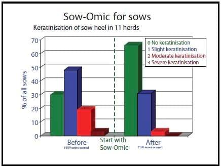 Focus on lameness and claw health - Image 4