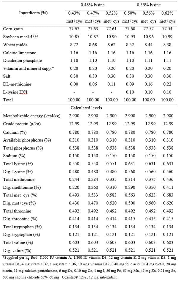 Lysine and methionine + cystine for laying hens during the post-molting phase - Image 1
