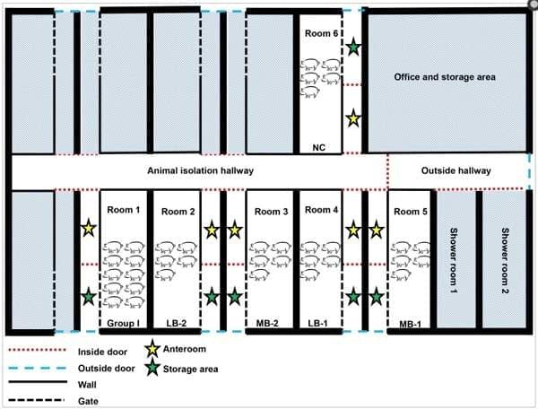 Indirect Transmission of Influenza A Virus between Pig Populations under Two Different Biosecurity Settings - Image 2