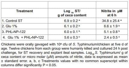 Effect of Glutamine Supplementation Associated with Probiotics on Salmonella Typhimurium and Nitric Oxide or Glutamine with Perinatal Supplement on Growth Performance and Intestinal Morphology in Broiler Chickens - Image 4
