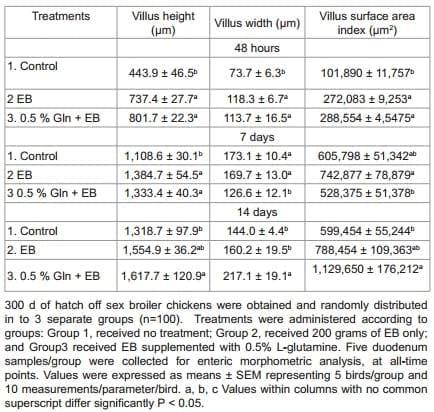 Effect of Glutamine Supplementation Associated with Probiotics on Salmonella Typhimurium and Nitric Oxide or Glutamine with Perinatal Supplement on Growth Performance and Intestinal Morphology in Broiler Chickens - Image 7